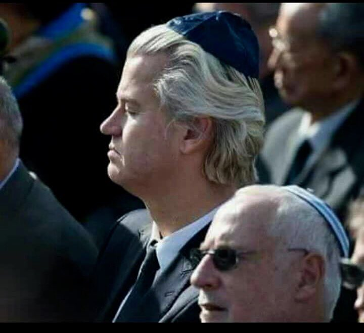 Le juif Geert Wilders remporte les élections aux Pays-Bas, une fois de plus, les droitardés jubilent