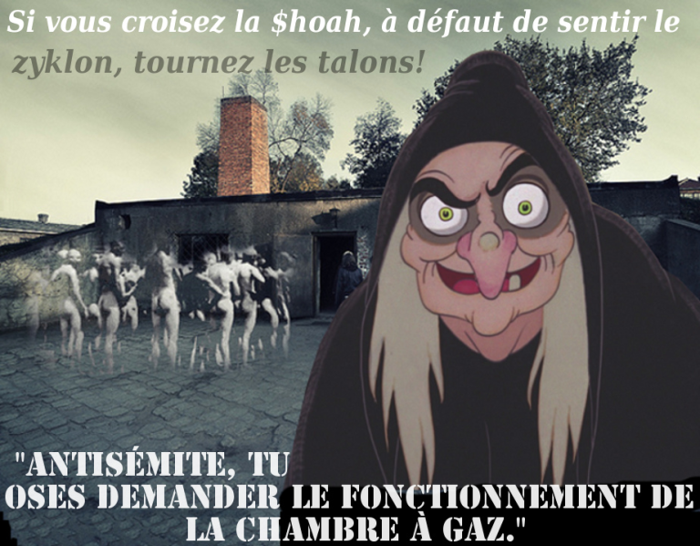 Vincent Reynouard est en France, libre mais sous contrôle judiciaire !