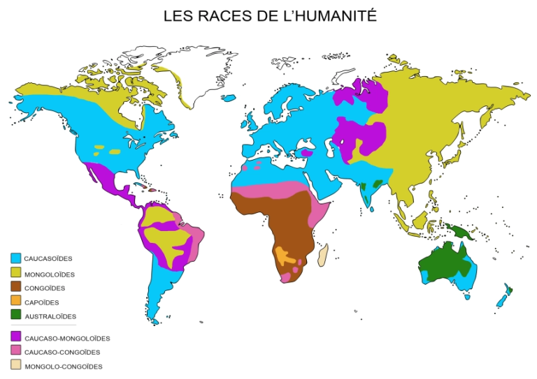 – Briser le pouvoir magique de l&rsquo;ennemi mondialiste ou choisir entre le racisme et la mort – Les cinq races présentes au sein de l&rsquo;espèce humaine